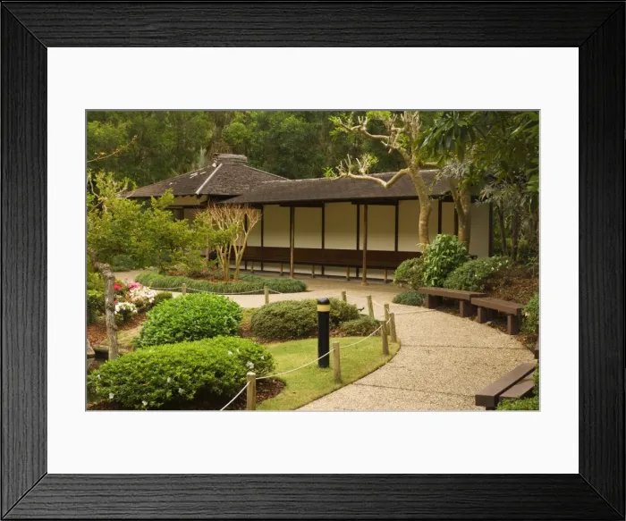 Framed Print : Detail of Japanese Garden, Botanic Garden, Brisbane, Queensland, Australia, Pacific Framed Print : Detail of Japanese Garden, Botanic Garden, Brisbane, Queensland, Australia, Pacific