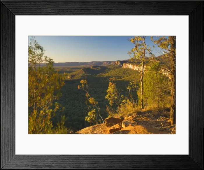 Framed Print : Carnarvon Gorge, Carnarvon National Park, Queensland, Australia, Pacific Framed Print : Carnarvon Gorge, Carnarvon National Park, Queensland, Australia, Pacific