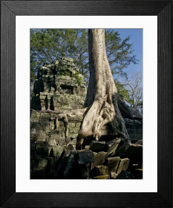 Framed Print : Angkor Wat Archaeological Park, UNESCO World Heritage Site, Siem Reap, Cambodia, Indochina Framed Print : Angkor Wat Archaeological Park, UNESCO World Heritage Site, Siem Reap, Cambodia, Indochina