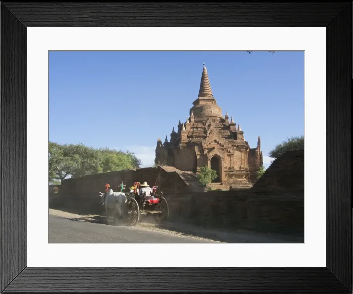 Framed Print : Horse and cart by Buddhist temples of Bagan, Myanmar (Burma), Asia Framed Print : Horse and cart by Buddhist temples of Bagan, Myanmar (Burma), Asia