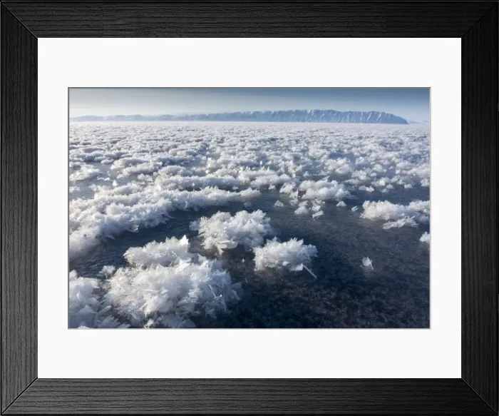 Framed Print : Frost flowers formed on thin sea ice when the atmosphere is much colder than the underlying ice Framed Print : Frost flowers formed on thin sea ice when the atmosphere is much colder than the underlying ice