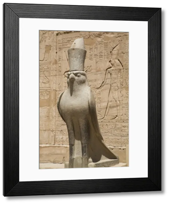 Framed Print : Granite falcons, Pylon, Temple of Horus, Edfu, Egypt, North Africa, Africa Framed Print : Granite falcons, Pylon, Temple of Horus, Edfu, Egypt, North Africa, Africa