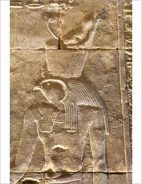 Relief of the God Horus, Temple of Horus, Edfu, Egypt, North Africa, Africa