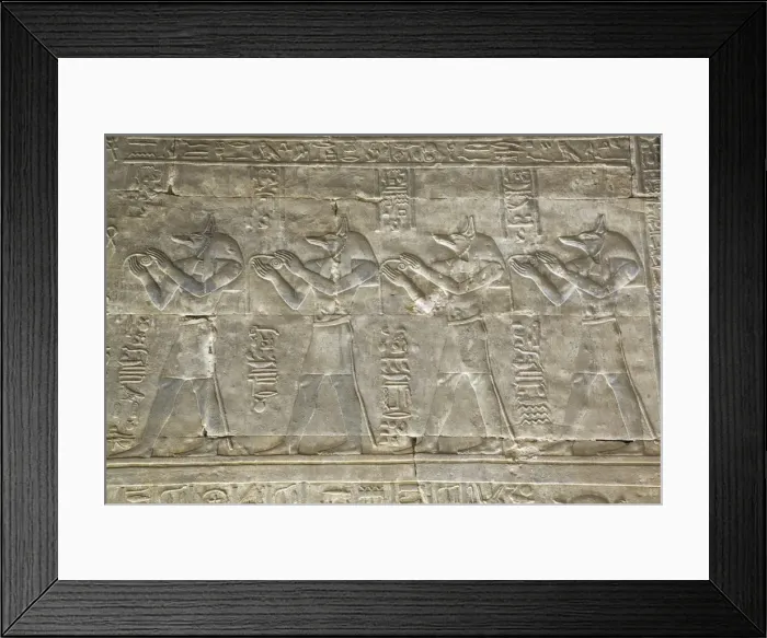 Framed Print : Relief depicting the God Anubis, Temple of Horus, Edfu, Egypt, North Africa, Africa Framed Print : Relief depicting the God Anubis, Temple of Horus, Edfu, Egypt, North Africa, Africa