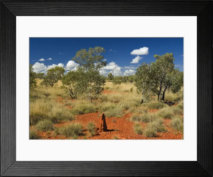 Framed Print : Termite mounds in the Outback, Queensland, Australia, Pacific Framed Print : Termite mounds in the Outback, Queensland, Australia, Pacific