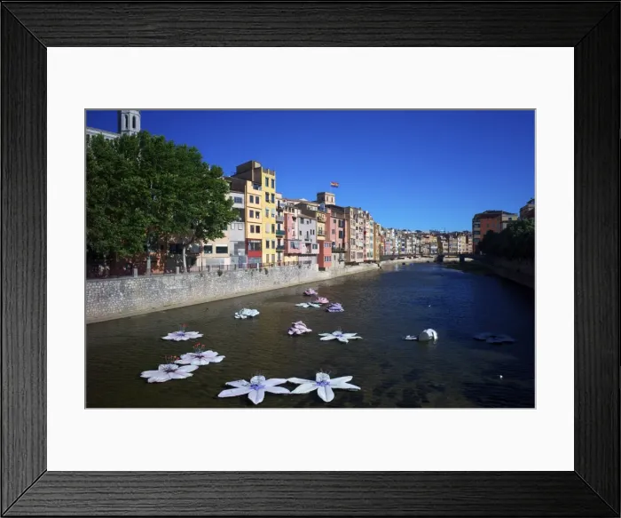 Framed Print : River Onyar during the flower festival, Girona, Catalonia, Spain, Europe