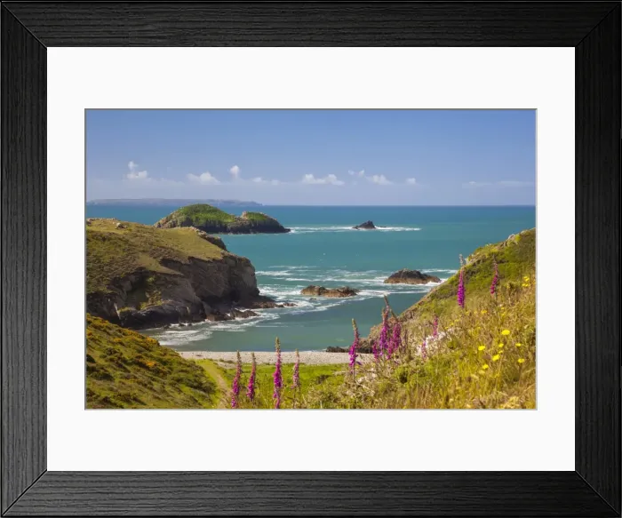 Framed Print : Solva, Pembrokeshire, Wales, United Kingdom, Europe Framed Print : Solva, Pembrokeshire, Wales, United Kingdom, Europe