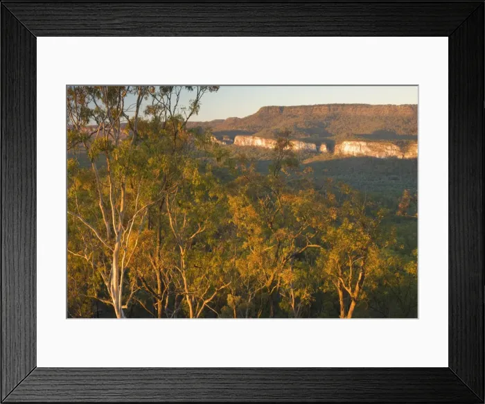 Framed Print : Carnarvon Gorge, Carnarvon National Park, Queensland, Australia, Pacific Framed Print : Carnarvon Gorge, Carnarvon National Park, Queensland, Australia, Pacific
