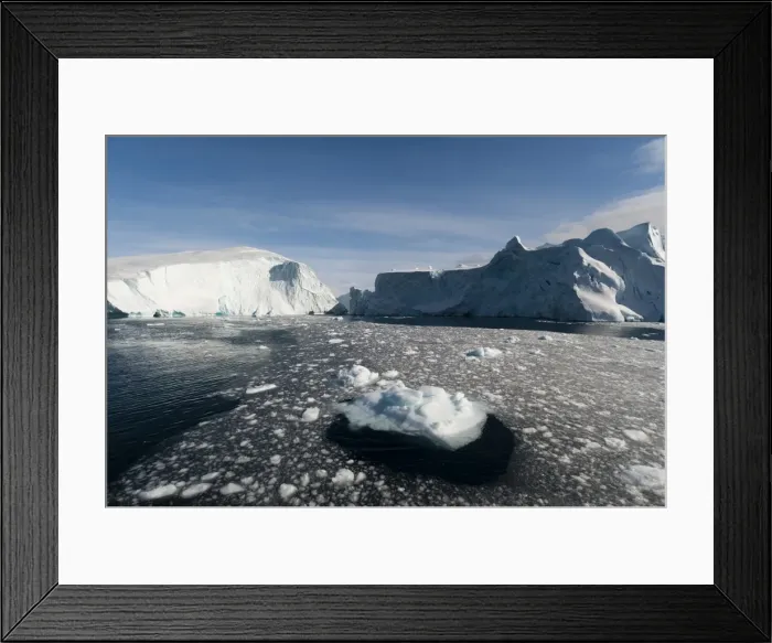 Framed Print : Icebergs in Ilulissat icefjord, UNESCO World Heritage Site, Greenland, Denmark, Polar Framed Print : Icebergs in Ilulissat icefjord, UNESCO World Heritage Site, Greenland, Denmark, Polar