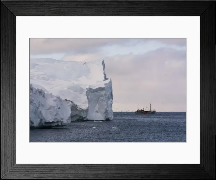 Framed Print : Icebergs in Ilulissat icefjord, UNESCO World Heritage Site, Greenland, Denmark, Polar Framed Print : Icebergs in Ilulissat icefjord, UNESCO World Heritage Site, Greenland, Denmark, Polar
