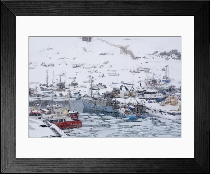 Framed Print : Ilulissat harbour, Greenland, Denmark, Polar Regions Framed Print : Ilulissat harbour, Greenland, Denmark, Polar Regions
