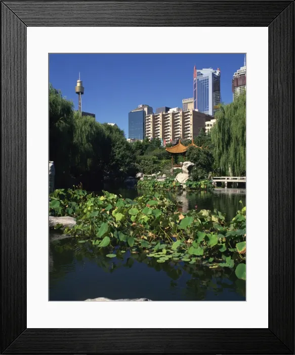Framed Print : The lake in the Chinese Garden at Darling Harbour with the city skyline behind Framed Print : The lake in the Chinese Garden at Darling Harbour with the city skyline behind