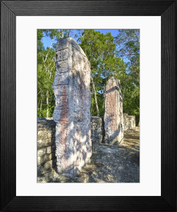 Framed Print : Stela 24 on right, and Stela 23 on left, on top of Structure VI, Calakmul Mayan Archaeological Site Framed Print : Stela 24 on right, and Stela 23 on left, on top of Structure VI, Calakmul Mayan Archaeological Site