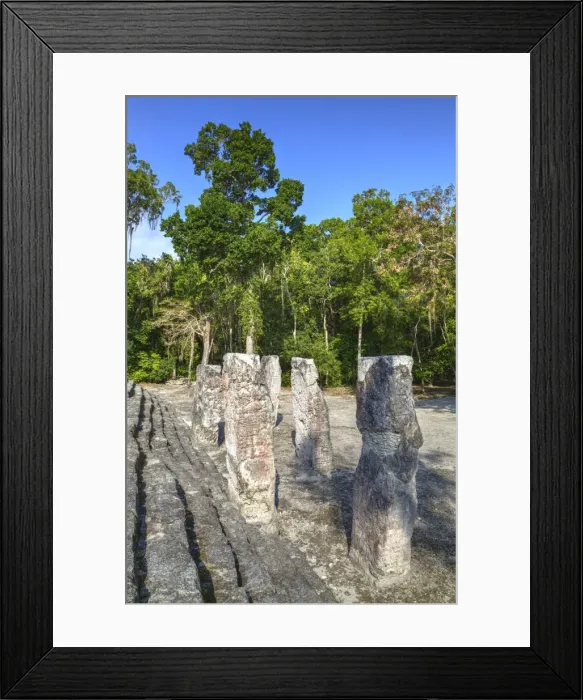 Framed Print : Stelae in front of Structure 2, Calakmul Mayan Archaeological Site, UNESCO World Heritage Site Framed Print : Stelae in front of Structure 2, Calakmul Mayan Archaeological Site, UNESCO World Heritage Site