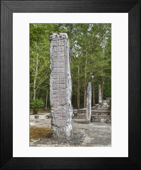 Framed Print : Stelae in front of Structure 1, Calakmul Mayan Archaeological Site, UNESCO World Heritage Site Framed Print : Stelae in front of Structure 1, Calakmul Mayan Archaeological Site, UNESCO World Heritage Site