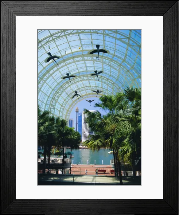 Framed Print : Harbourside Mall, Darling Harbour, Sydney, New South Wales, Australia Framed Print : Harbourside Mall, Darling Harbour, Sydney, New South Wales, Australia
