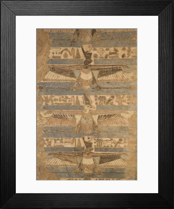 Framed Print : Paintings of vultures on the ceiling, Temple of Haroeris and Sobek, Kom Ombo, Egypt Framed Print : Paintings of vultures on the ceiling, Temple of Haroeris and Sobek, Kom Ombo, Egypt