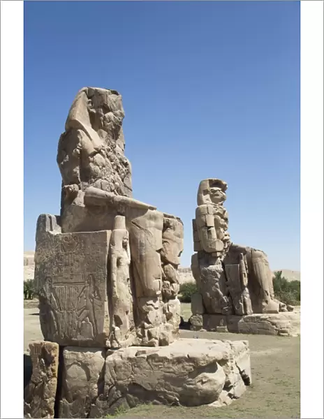 Colossi of Memnon, West Bank, Thebes, UNESCO World Heritage Site, Egypt, North Africa