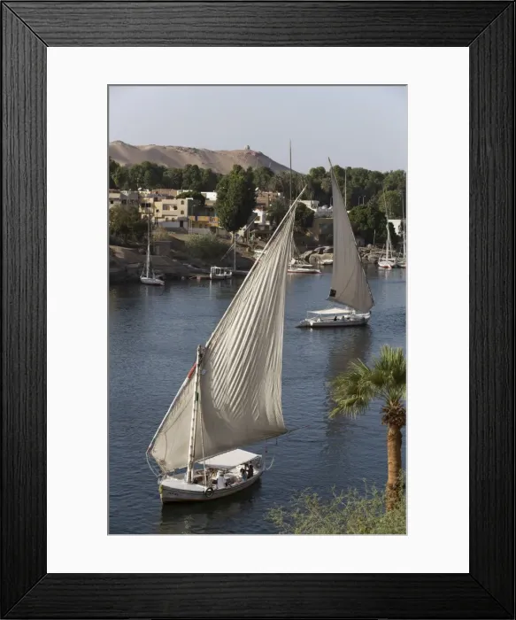 Framed Print : Feluccas sailing on the River Nile, Aswan, Egypt, North Africa, Africa Framed Print : Feluccas sailing on the River Nile, Aswan, Egypt, North Africa, Africa