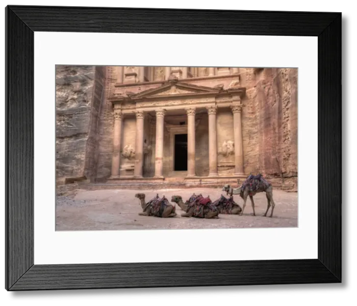 Framed Print : Camels in front of the Treasury, Petra, UNESCO World Heritage Site, Jordan, Middle East Framed Print : Camels in front of the Treasury, Petra, UNESCO World Heritage Site, Jordan, Middle East