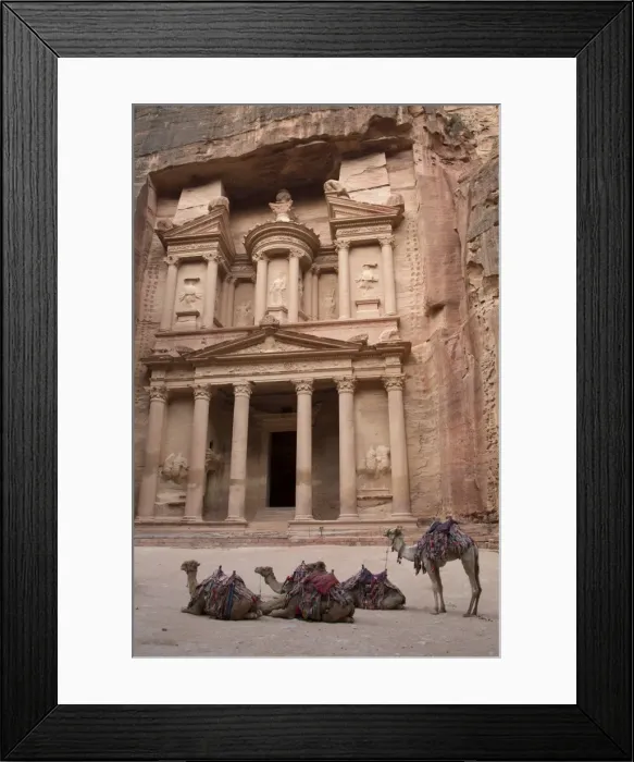 Framed Print : Camels in front of the Treasury, Petra, UNESCO World Heritage Site, Jordan, Middle East Framed Print : Camels in front of the Treasury, Petra, UNESCO World Heritage Site, Jordan, Middle East