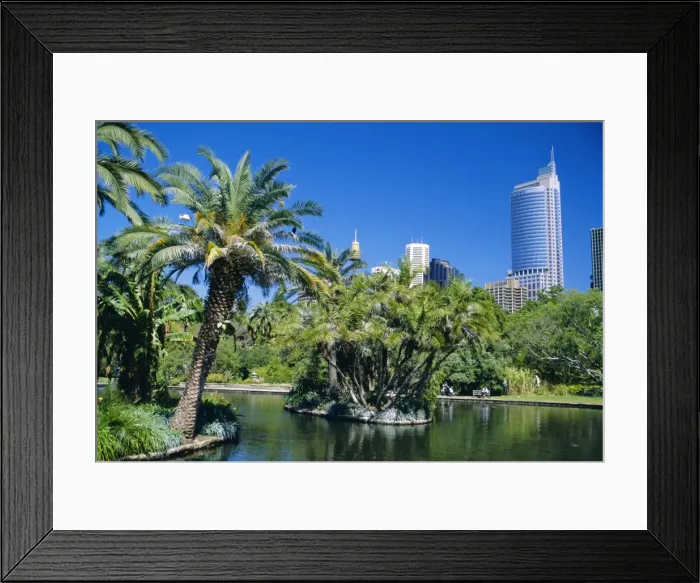 Framed Print : Royal Botanic Gardens, Sydney, Australia Framed Print : Royal Botanic Gardens, Sydney, Australia