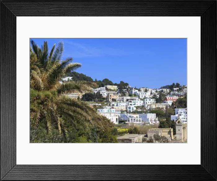 Framed Print : Palm tree and Certosa di San Giacomo (monastery) with skyline of Capri Town, Capri Framed Print : Palm tree and Certosa di San Giacomo (monastery) with skyline of Capri Town, Capri