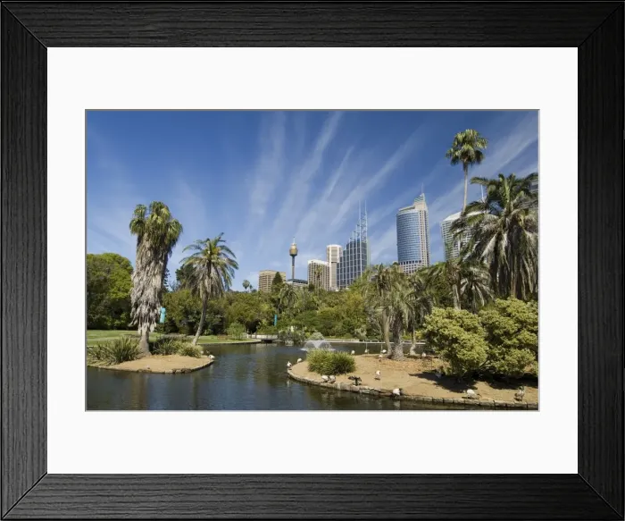 Framed Print : Royal Botanic Gardens, Sydney, New South Wales, Australia, Pacific Framed Print : Royal Botanic Gardens, Sydney, New South Wales, Australia, Pacific