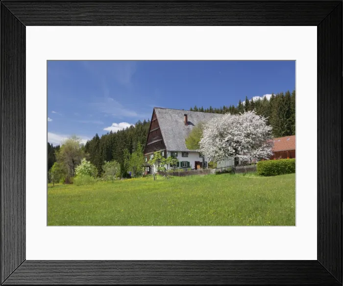 Framed Print : Black Forest house in Urachtal Valley in spring, Black Forest, Baden Wurttemberg Framed Print : Black Forest house in Urachtal Valley in spring, Black Forest, Baden Wurttemberg