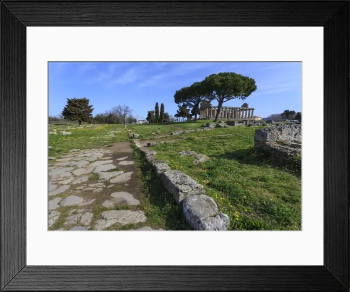 Framed Print : Temple of Athena (Temple of Ceres), Paestum, Greek ruins, UNESCO World Heritage Site Framed Print : Temple of Athena (Temple of Ceres), Paestum, Greek ruins, UNESCO World Heritage Site