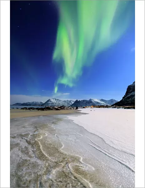 Northern Lights (aurora borealis) on Gymsoyan sky, Gimsoy, Lofoten Islands, Arctic