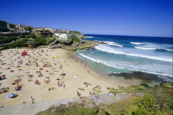 Tamarama, fashional beach south of Bondi, Eastern suburbs, Sydney, New South Wales