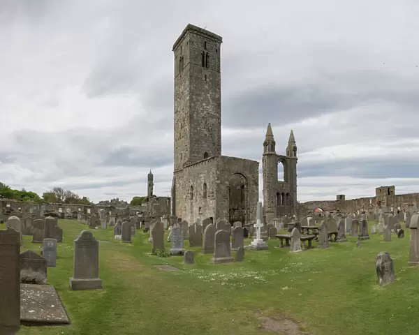 St. Andrews Cathedral ruins, St. Andrews, Fife, Scotland, United Kingdom, Europe