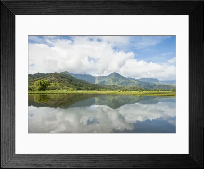 Framed Print : Hanalei National Wildlife Refuge, Hanalei Valley, Kauai, Hawaii, United States of America Framed Print : Hanalei National Wildlife Refuge, Hanalei Valley, Kauai, Hawaii, United States of America