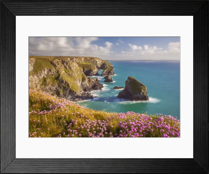 Framed Print : Pink thrift flowers, Bedruthan Steps, Newquay, Cornwall, England, United Kingdom, Europe Framed Print : Pink thrift flowers, Bedruthan Steps, Newquay, Cornwall, England, United Kingdom, Europe