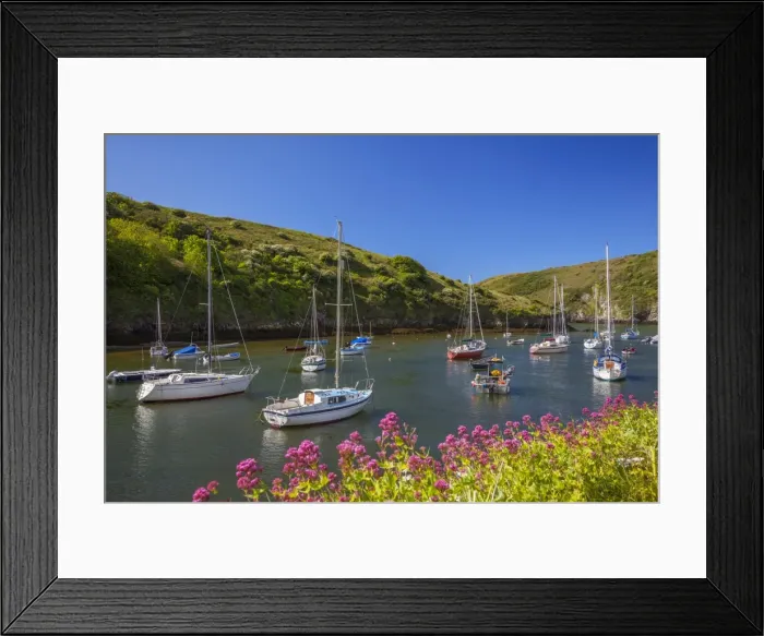 Framed Print : Solva Harbour, Pembrokeshire, Wales, United Kingdom, Europe Framed Print : Solva Harbour, Pembrokeshire, Wales, United Kingdom, Europe