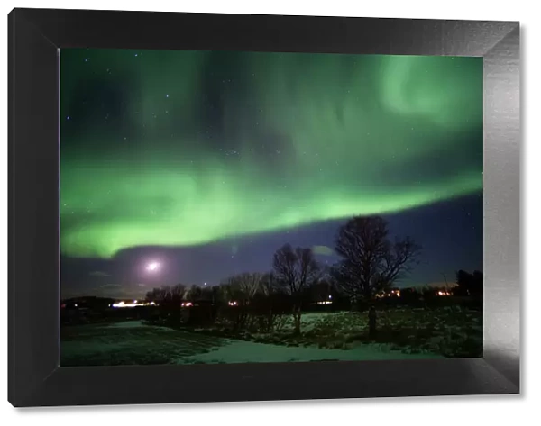 Northern Lights (aurora borealis), Laukvik, Nordland, Norway, Scandinavia, Europe