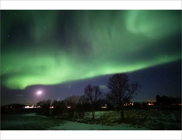 Northern Lights (aurora borealis), Laukvik, Nordland, Norway, Scandinavia, Europe