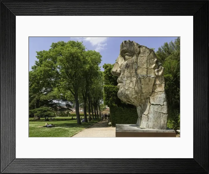 Framed Print : The Monumental Head by Igor Mitora in the Boboli Gardens, Florence, Tuscany, Italy Framed Print : The Monumental Head by Igor Mitora in the Boboli Gardens, Florence, Tuscany, Italy