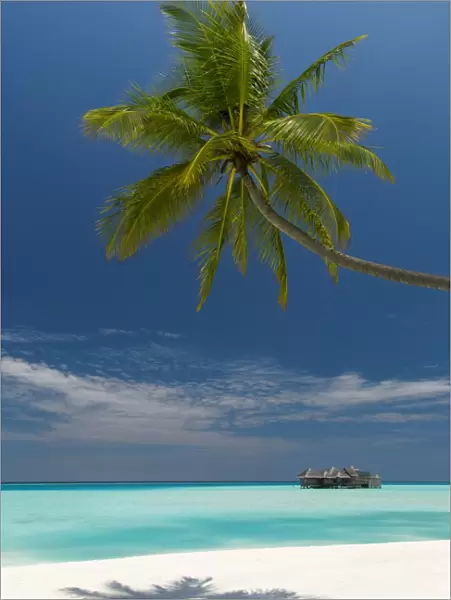 Luxury over-water bungalow at Gili Lankanfushi Resort Maldives and beach with palm trees