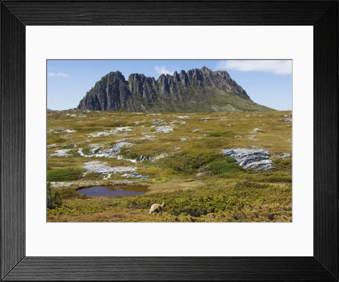 Framed Print : Peaks of Cradle Mountain, 1545m, on the Overland Track, Cradle Mountain Lake St Framed Print : Peaks of Cradle Mountain, 1545m, on the Overland Track, Cradle Mountain Lake St