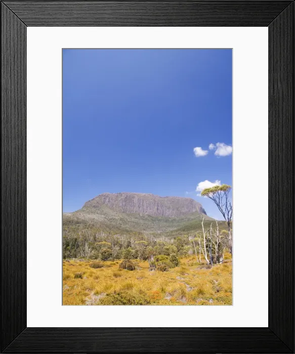 Framed Print : Mount Pelion West on the Overland Track, Cradle Mountain Lake St. Clair National Park Framed Print : Mount Pelion West on the Overland Track, Cradle Mountain Lake St. Clair National Park