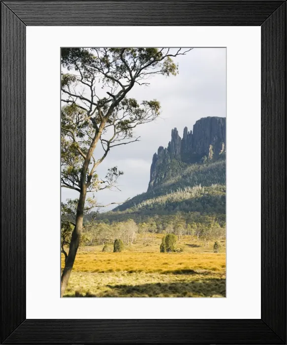 Framed Print : Mount Oakleigh at New Pelion on the Overland Track, Cradle Mountain Lake St Framed Print : Mount Oakleigh at New Pelion on the Overland Track, Cradle Mountain Lake St