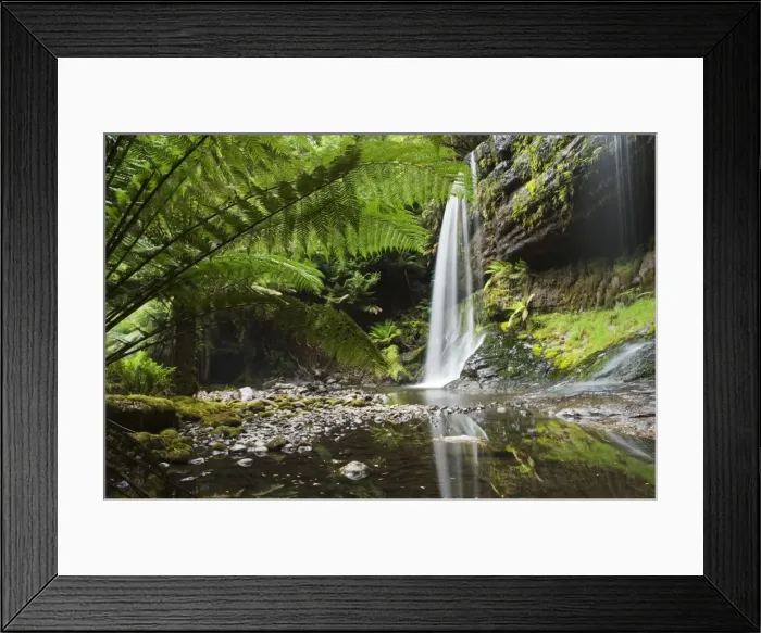 Framed Print : Russell Falls, Mount Fields National Park, Tasmania, Australia, Pacific Framed Print : Russell Falls, Mount Fields National Park, Tasmania, Australia, Pacific