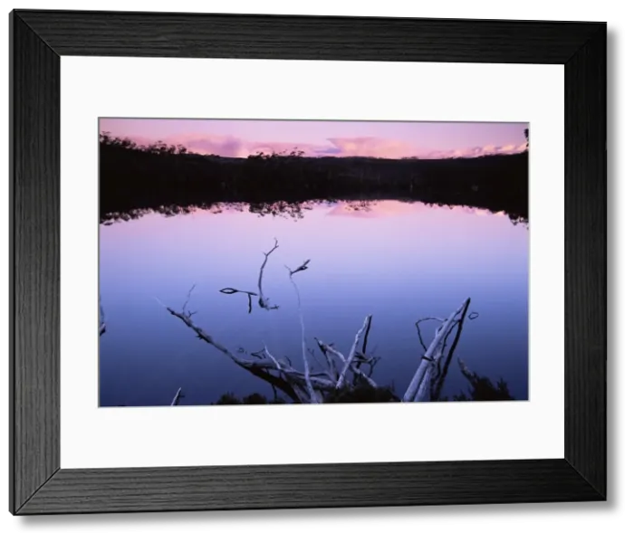 Framed Print : Lake Dobson, Mount Field National Park, Tasmania, Australia, Pacific Framed Print : Lake Dobson, Mount Field National Park, Tasmania, Australia, Pacific