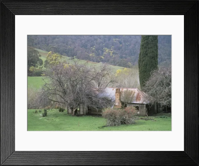 Framed Print : Farm, Upper Blessington, Tasmania, Australia, Pacific Framed Print : Farm, Upper Blessington, Tasmania, Australia, Pacific