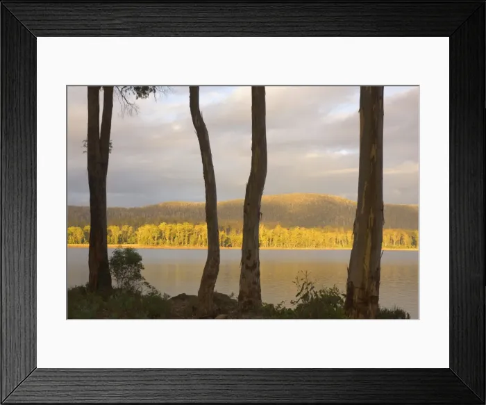 Framed Print : Lake Binney, Tarraleah, Tasmania, Australia, Pacific Framed Print : Lake Binney, Tarraleah, Tasmania, Australia, Pacific