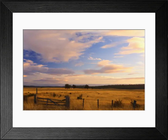 Framed Print : Pasture at sunset, Bronte Park, Tasmania, Australia, Pacific