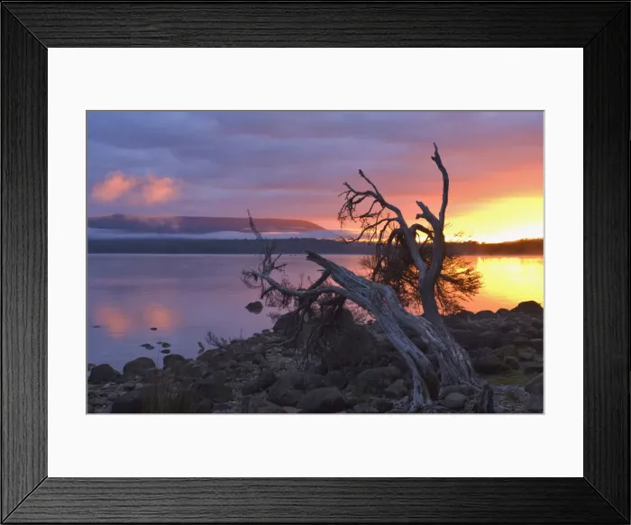 Framed Print : Sunrise, Lake St. Clair, Cradle Mountain Lake St. Clair National Park, UNESCO World Heritage Site Framed Print : Sunrise, Lake St. Clair, Cradle Mountain Lake St. Clair National Park, UNESCO World Heritage Site