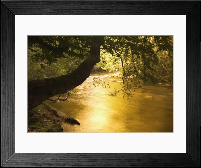 Framed Print : Franklin River, Franklin-Gordon Wild Rivers National Park, Tasmania, Australia, Pacific Framed Print : Franklin River, Franklin-Gordon Wild Rivers National Park, Tasmania, Australia, Pacific